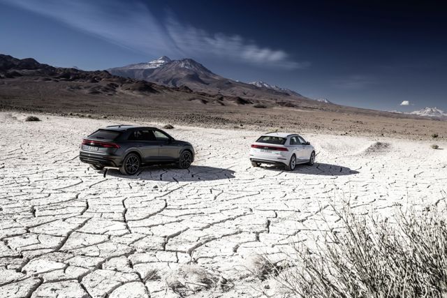Audi Q8 photo 46