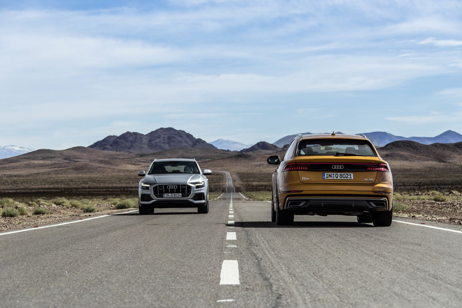 Audi Q8 photo 48