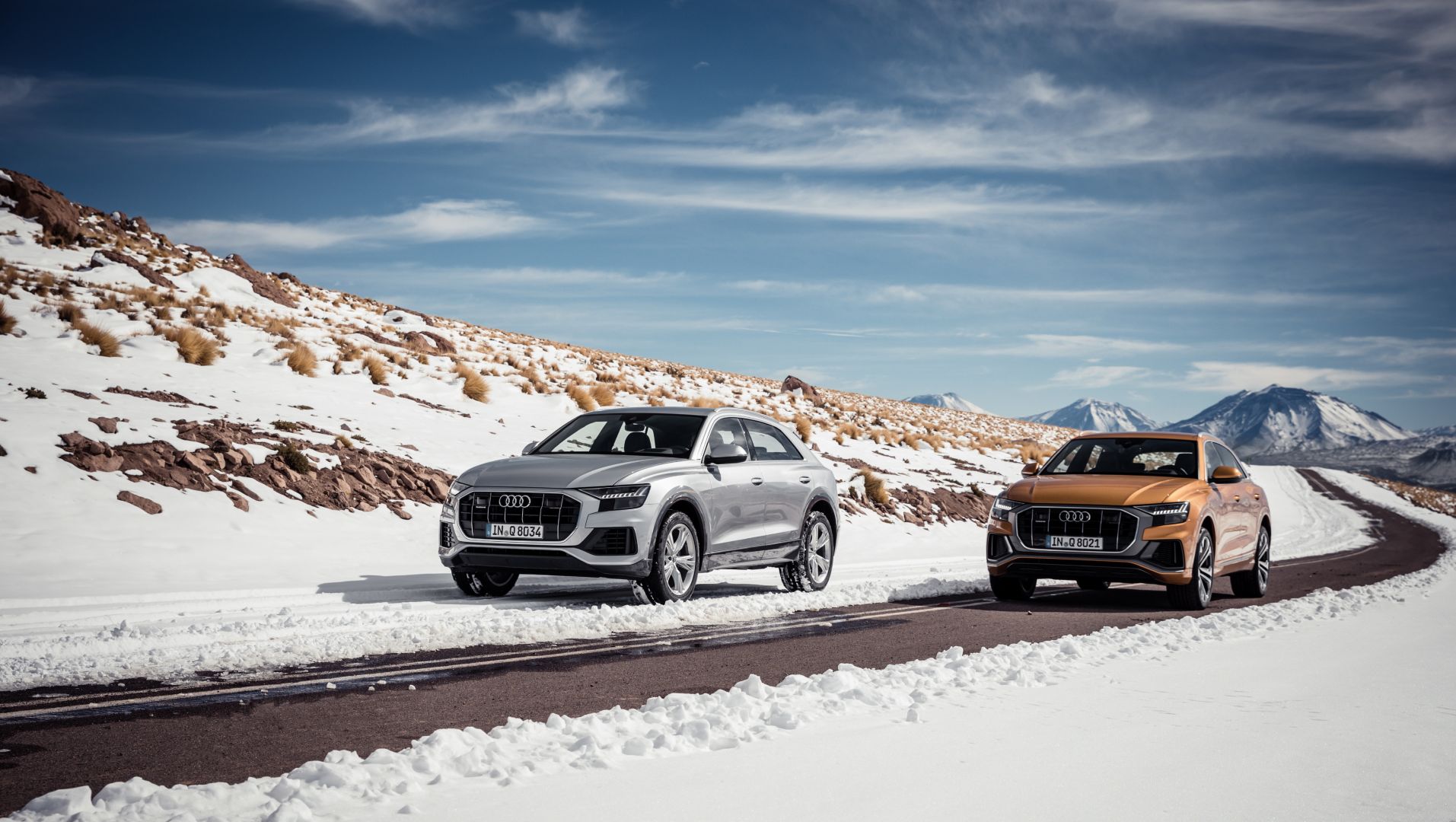 Audi Q8 photo 50