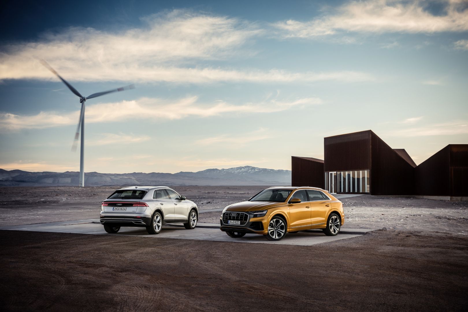 Audi Q8 photo 53