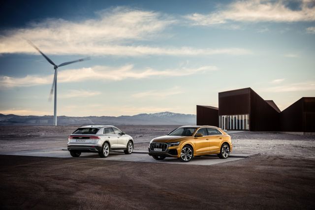Audi Q8 photo 53