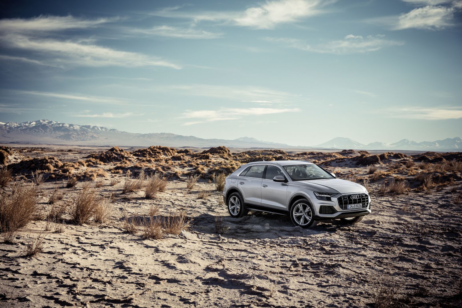 Audi Q8 photo 63