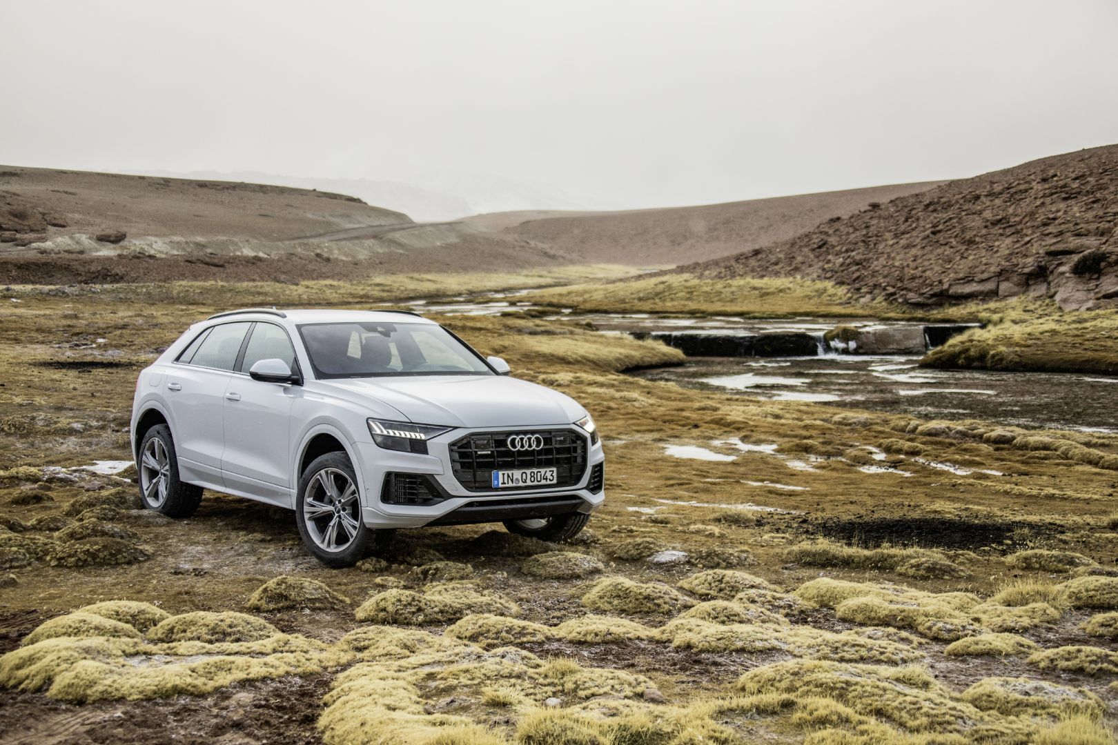 Audi Q8 photo 81