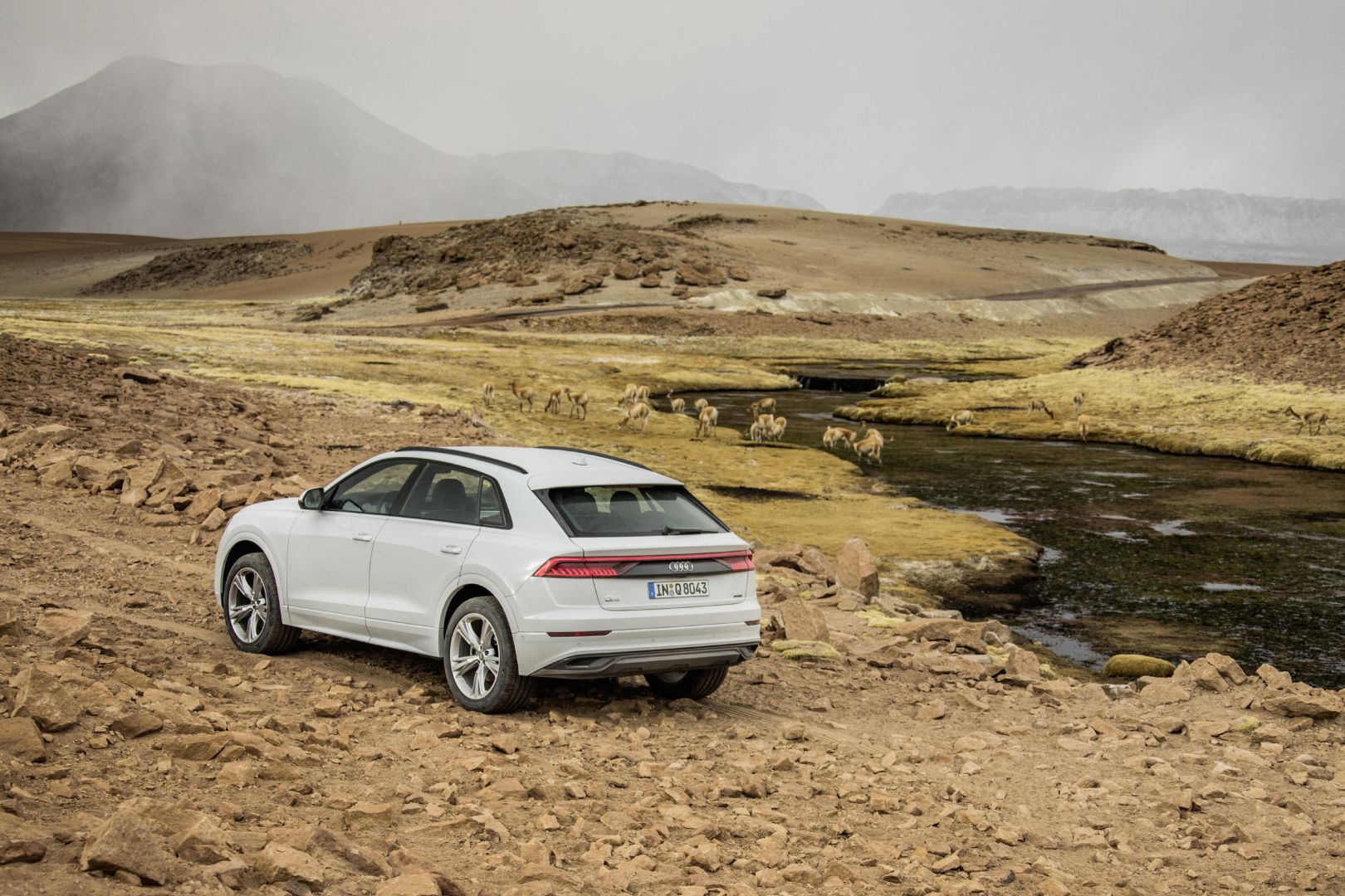 Audi Q8 photo 83