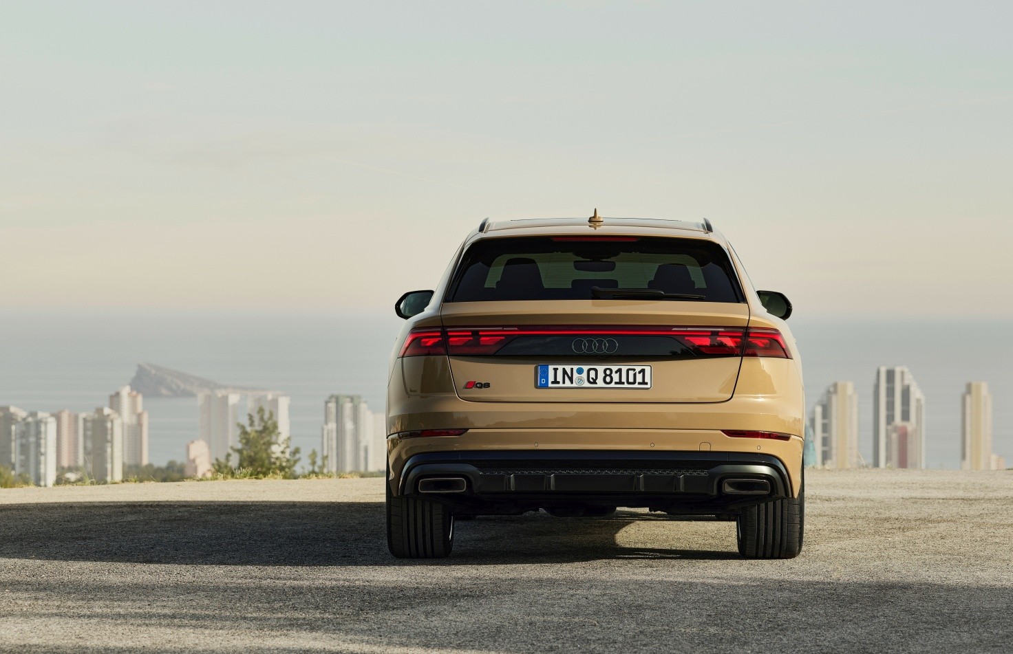 Audi Q8 photo 6