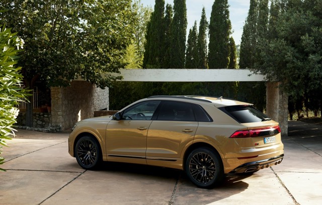 Audi Q8 photo 10