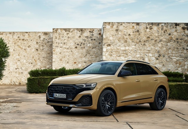 Audi Q8 photo 11