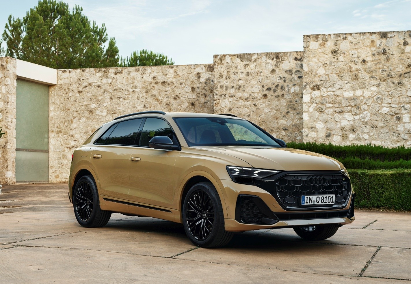 Audi Q8 photo 12