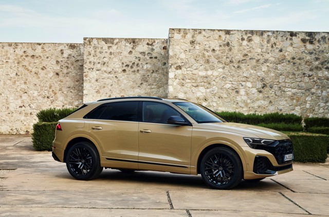 Audi Q8 photo 13