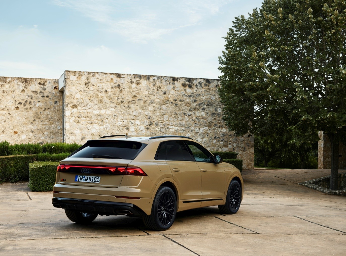 Audi Q8 photo 14