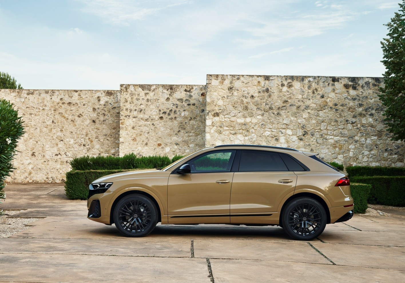 Audi Q8 photo 15