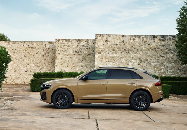 Audi Q8 photo 15