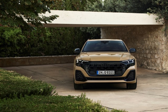 Audi Q8 photo 16