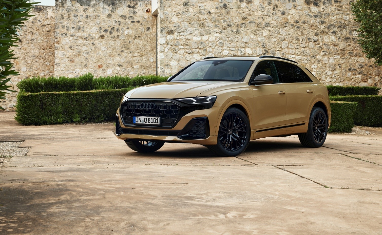 Audi Q8 photo 17