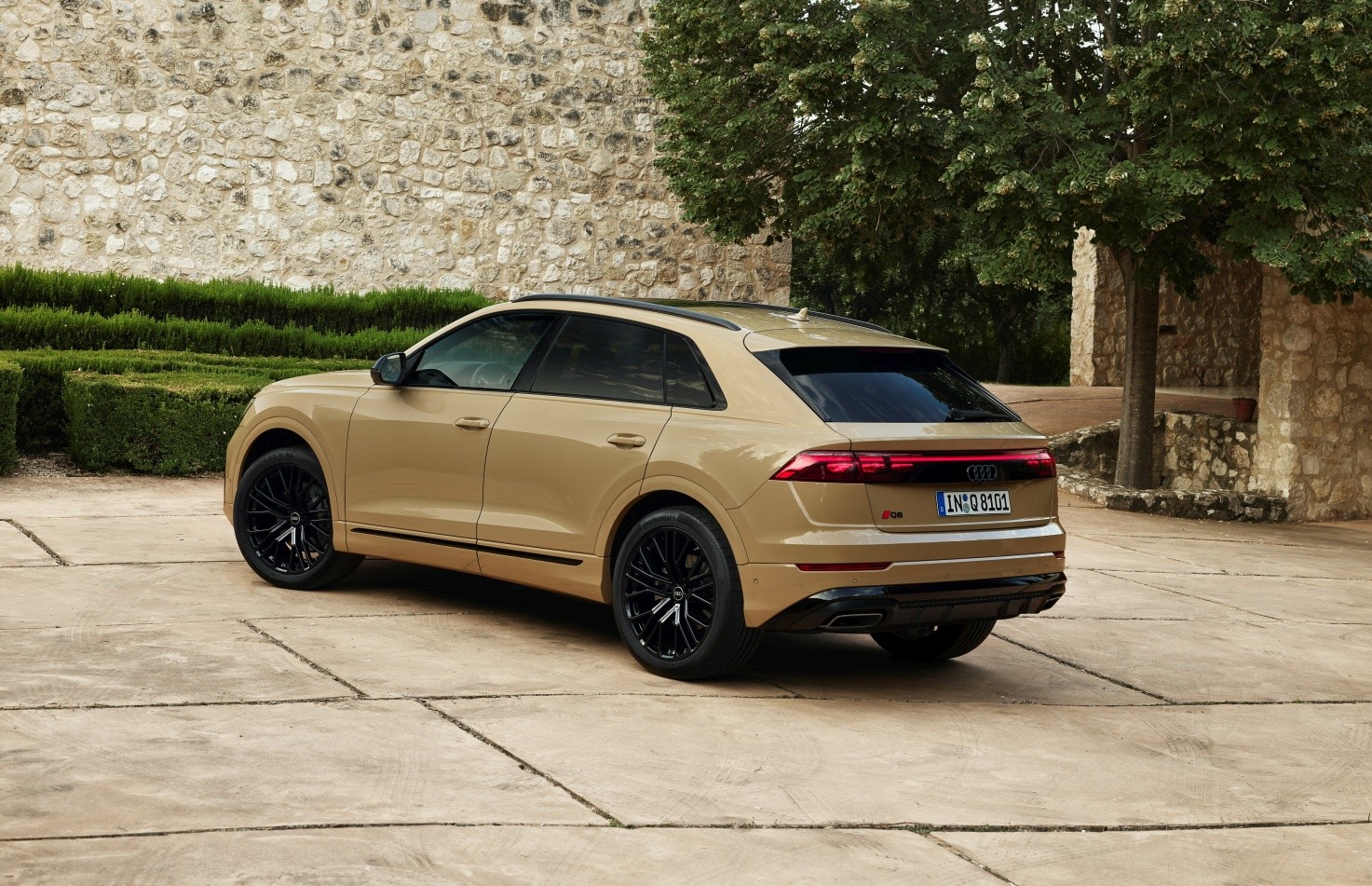 Audi Q8 photo 18