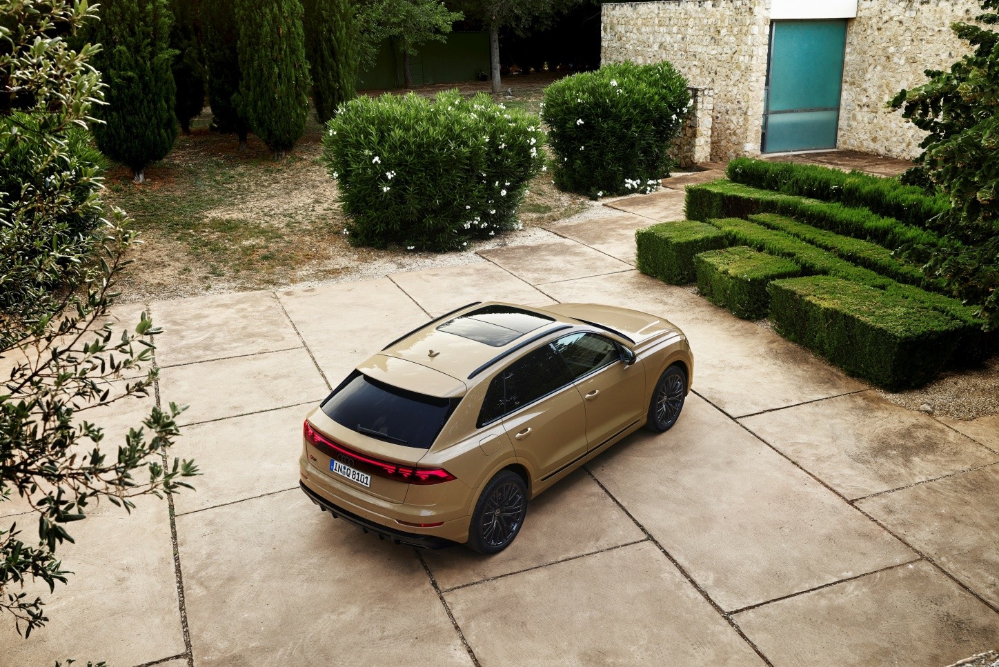 Audi Q8 photo 19