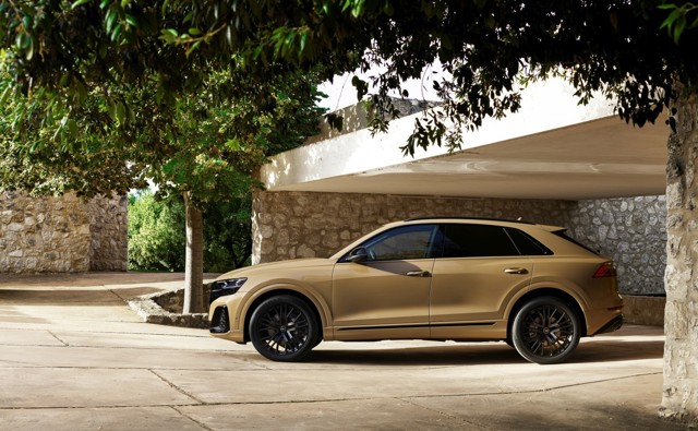 Audi Q8 photo 21