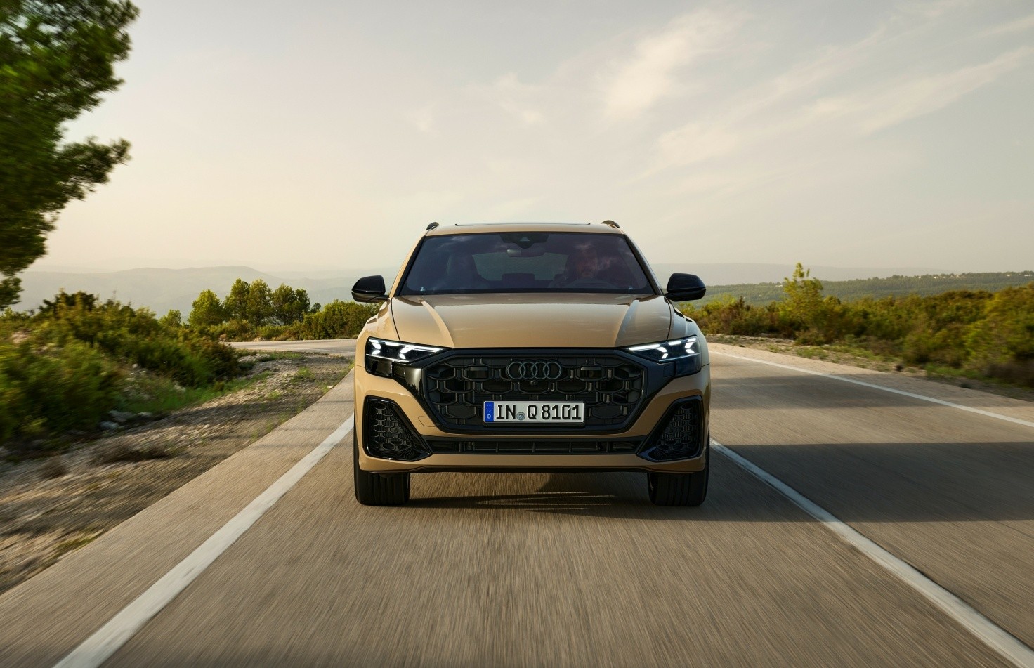Audi Q8 photo 24
