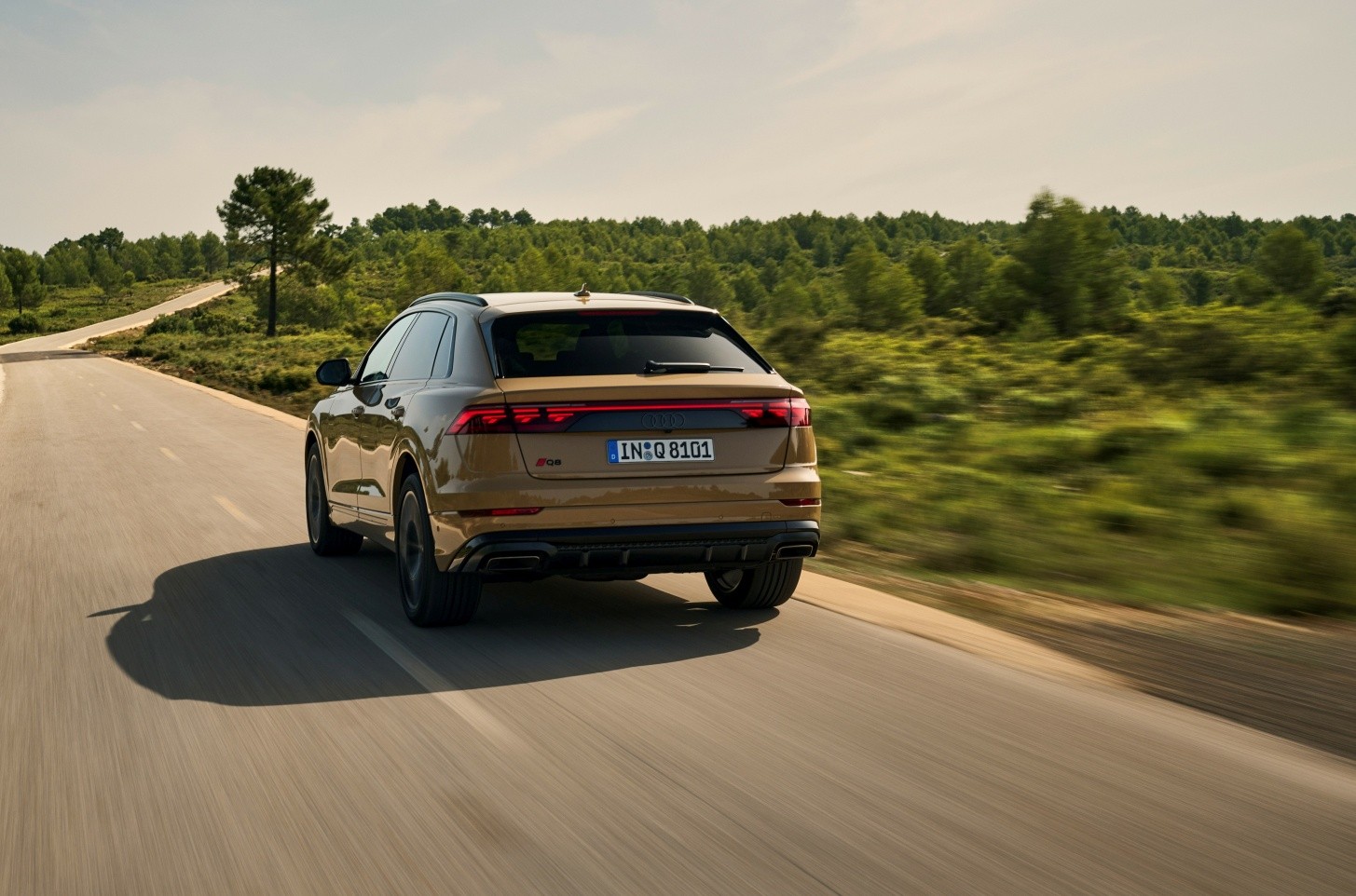 Audi Q8 photo 25
