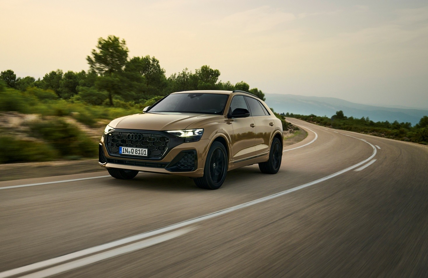Audi Q8 photo 26