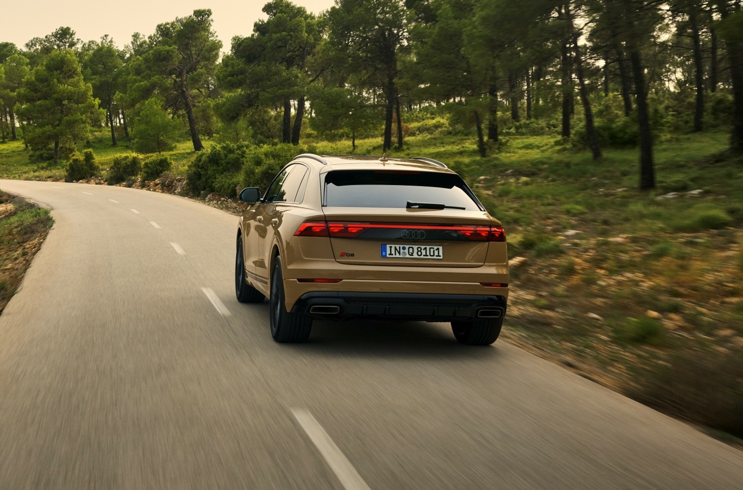 Audi Q8 photo 27