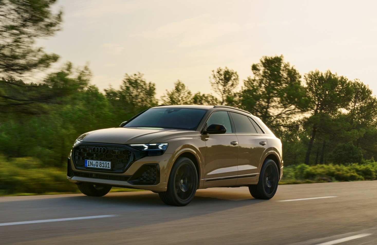 Audi Q8 photo 28