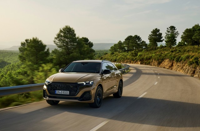 Audi Q8 photo 31