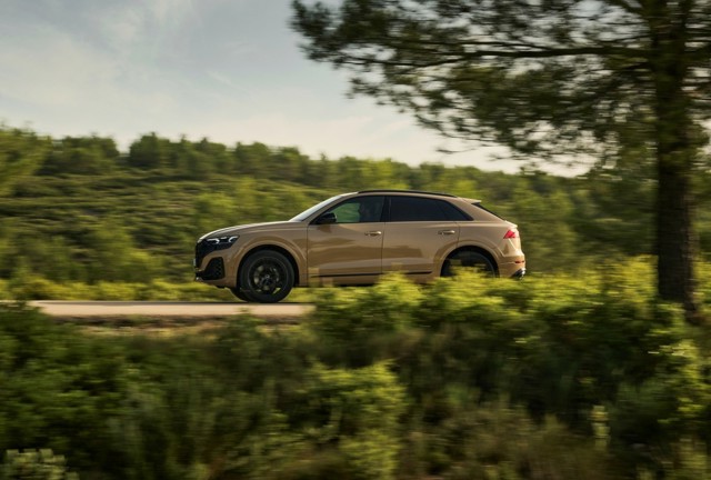 Audi Q8 photo 32