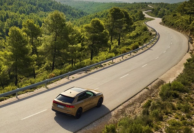 Audi Q8 photo 33