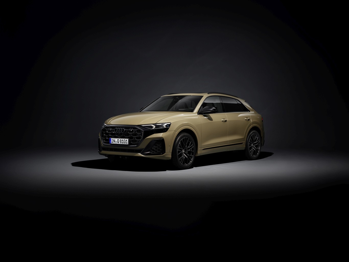 Audi Q8 photo 34
