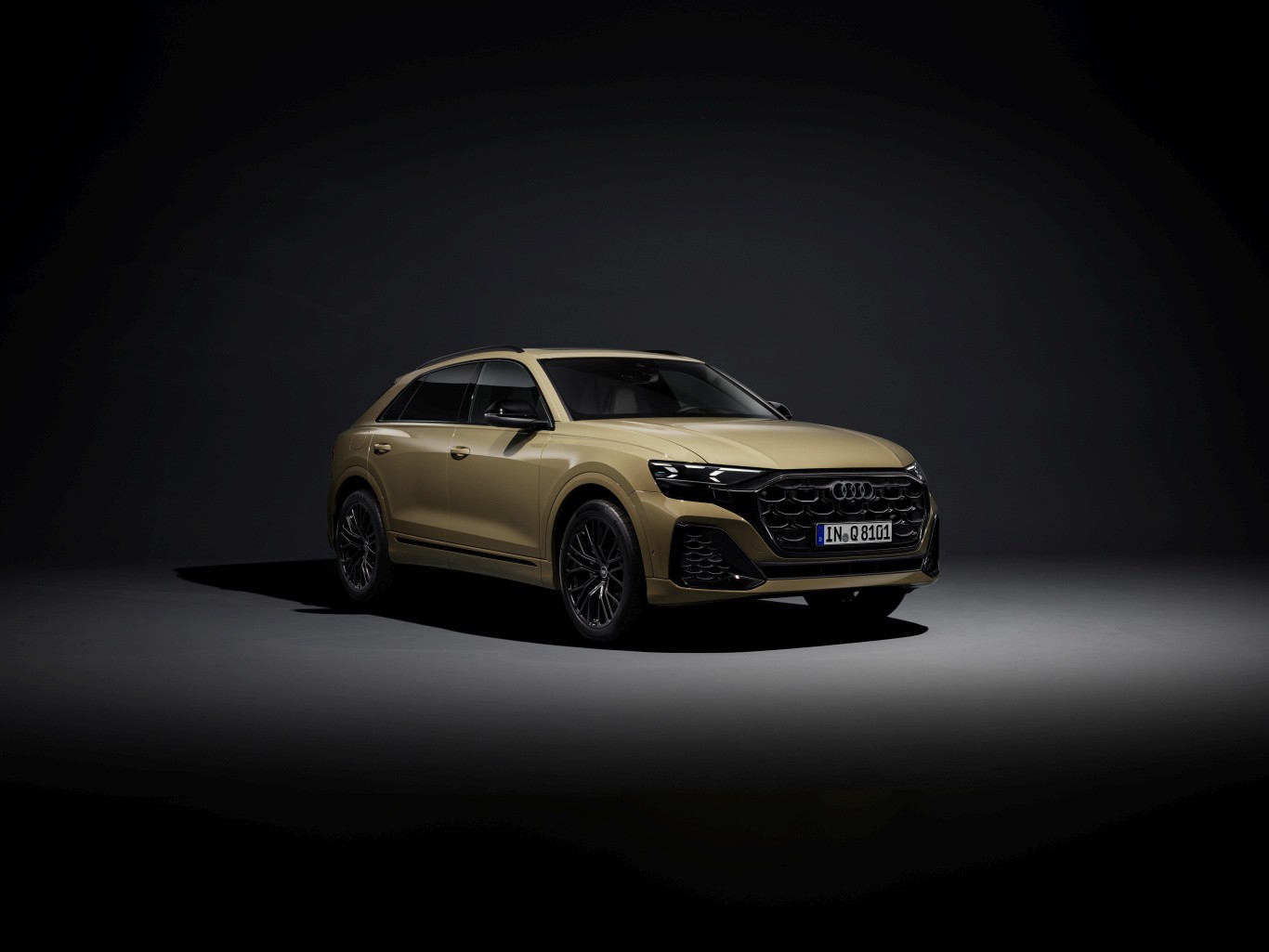 Audi Q8 photo 35