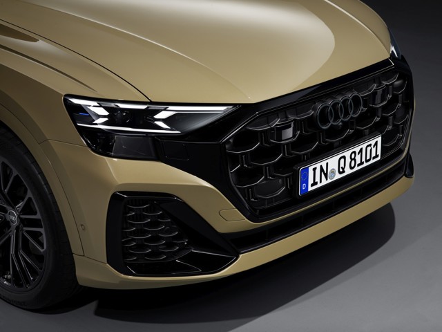 Audi Q8 photo 38