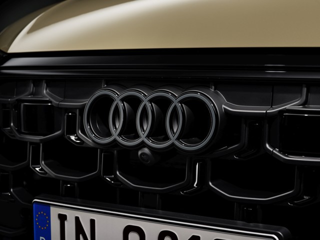 Audi Q8 photo 39