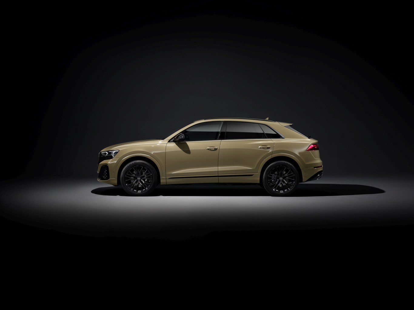 Audi Q8 photo 42