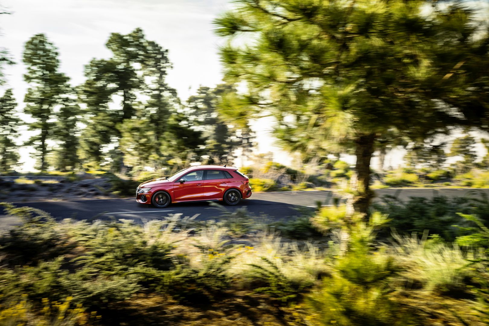 Audi Rs 3 Sportback photo 51