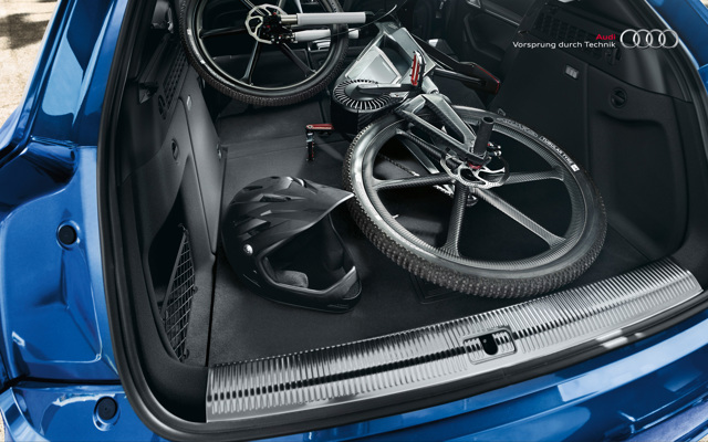 Audi Rs Q3 photo 38