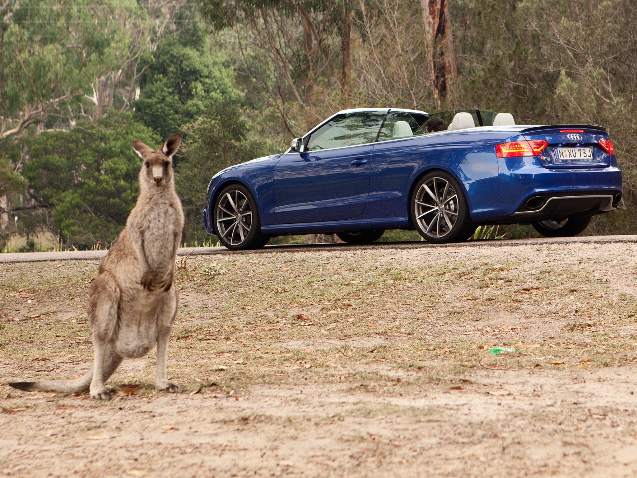 Audi Rs5 Cabriolet photo 47