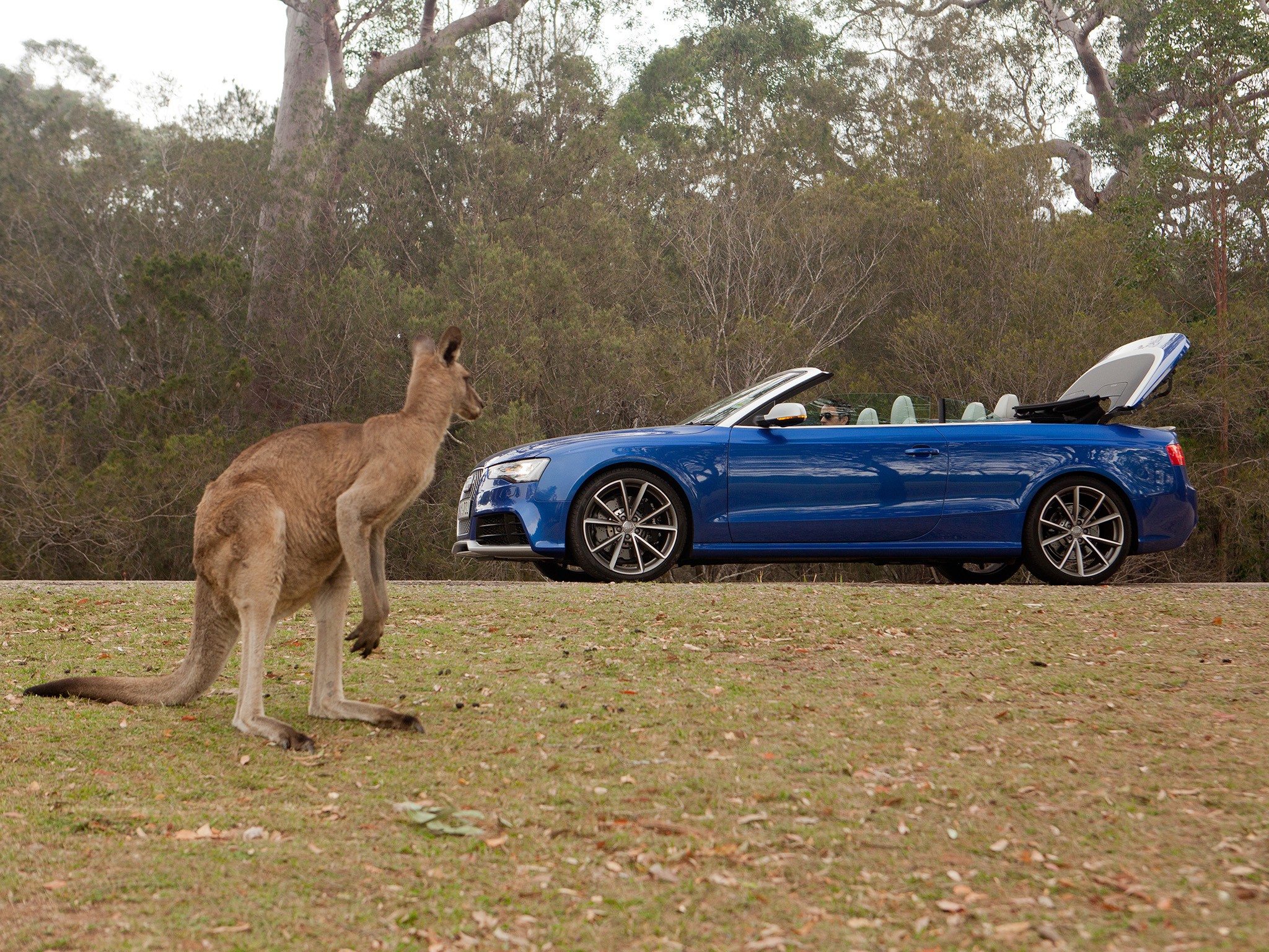Audi Rs5 Cabriolet photo 48