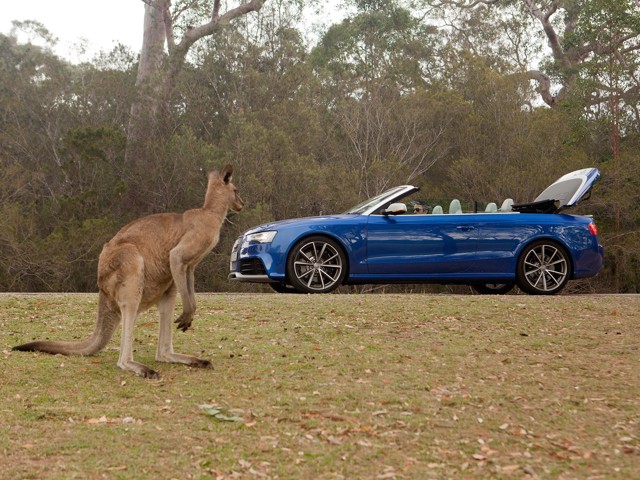 Audi Rs5 Cabriolet photo 48