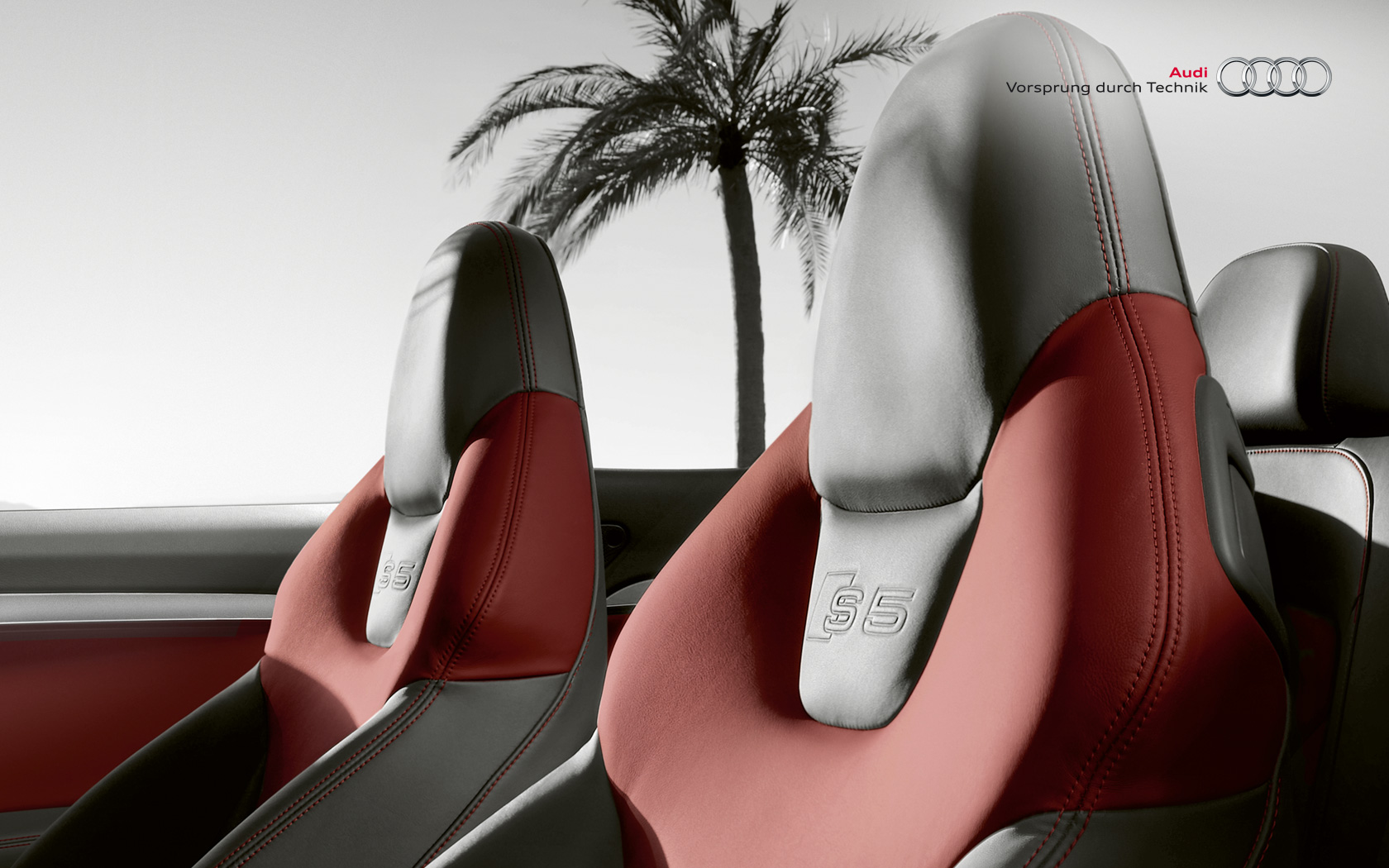 Audi S5 Cabriolet photo 30