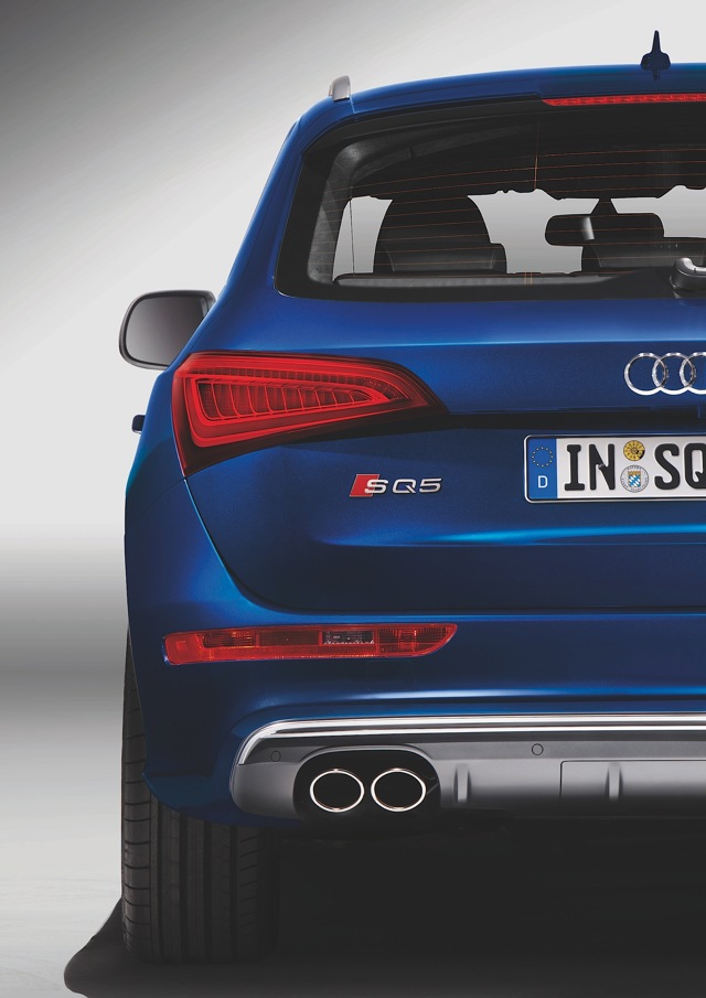 Audi Sq5 photo 14