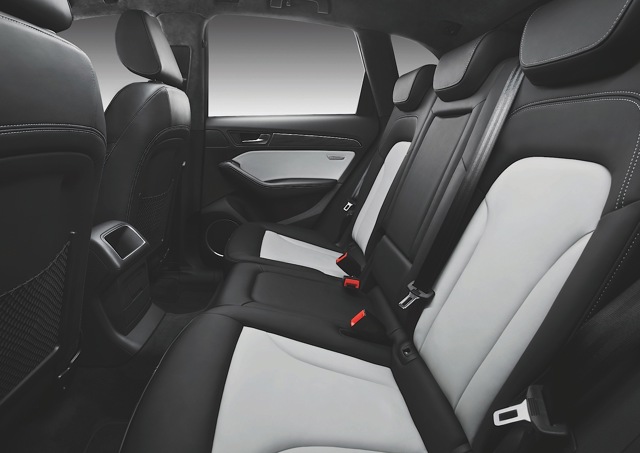 Audi Sq5 photo 62