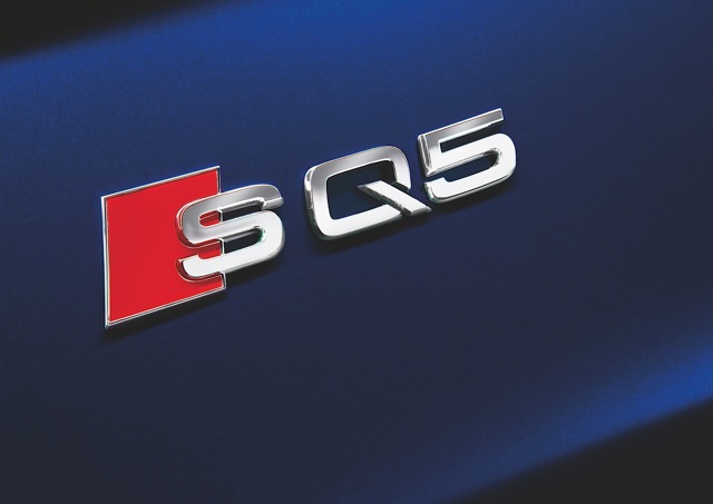Audi Sq5 photo 20