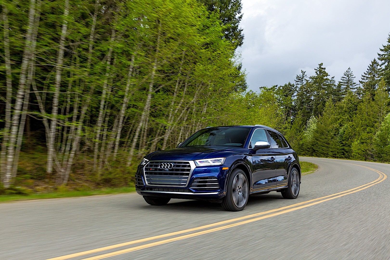 Audi Sq5 photo 12
