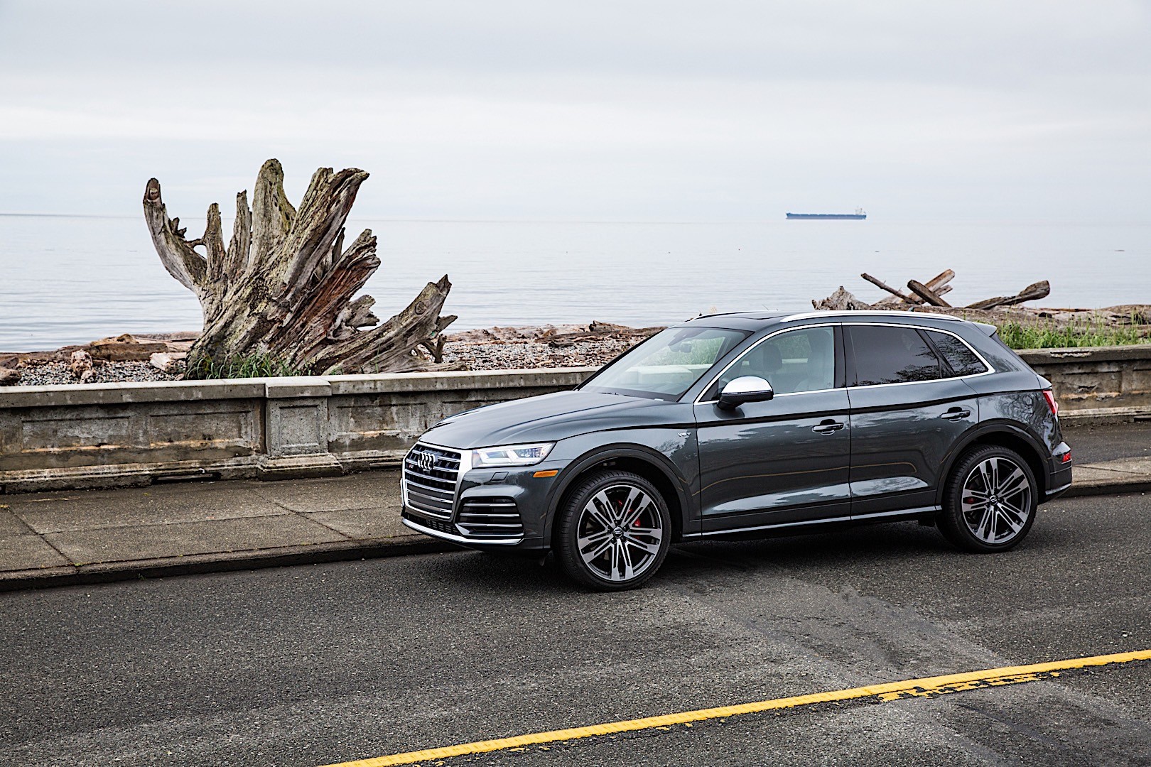 Audi Sq5 photo 28