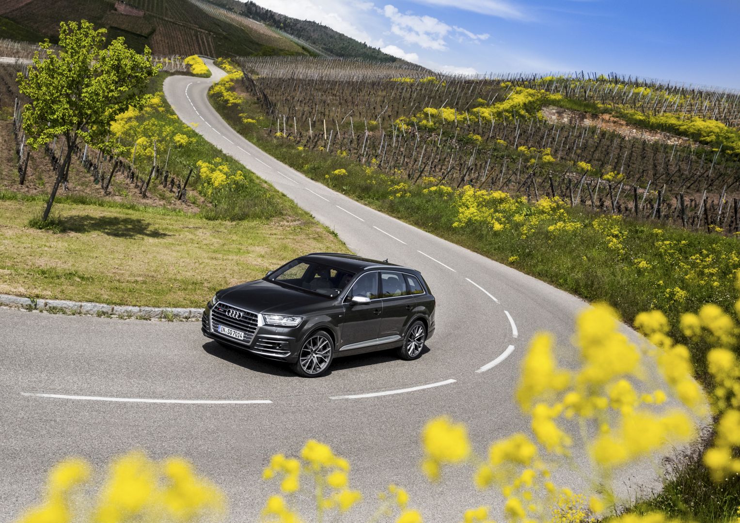 Audi Sq7 photo 47