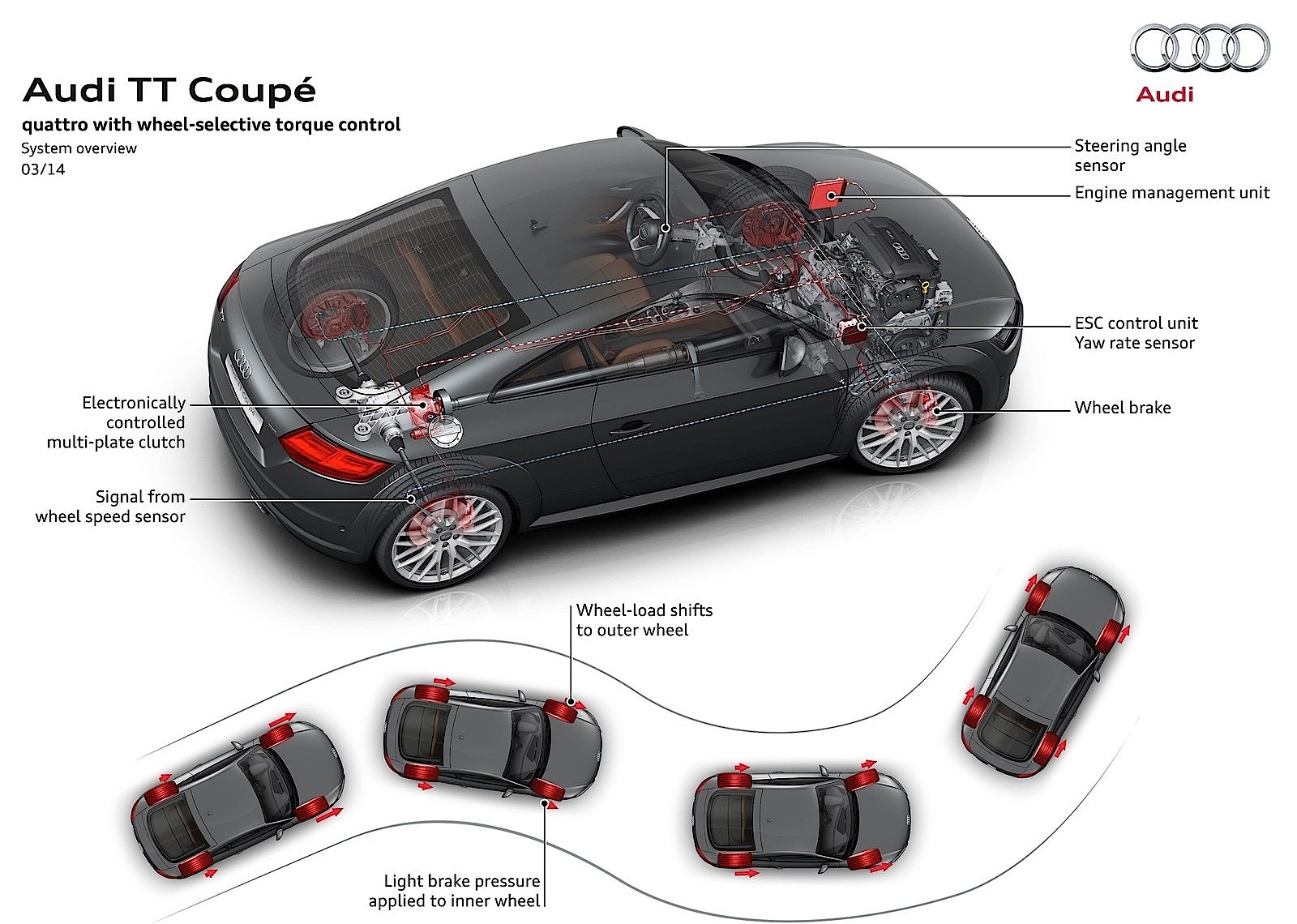 Audi Tt Coupe photo 39