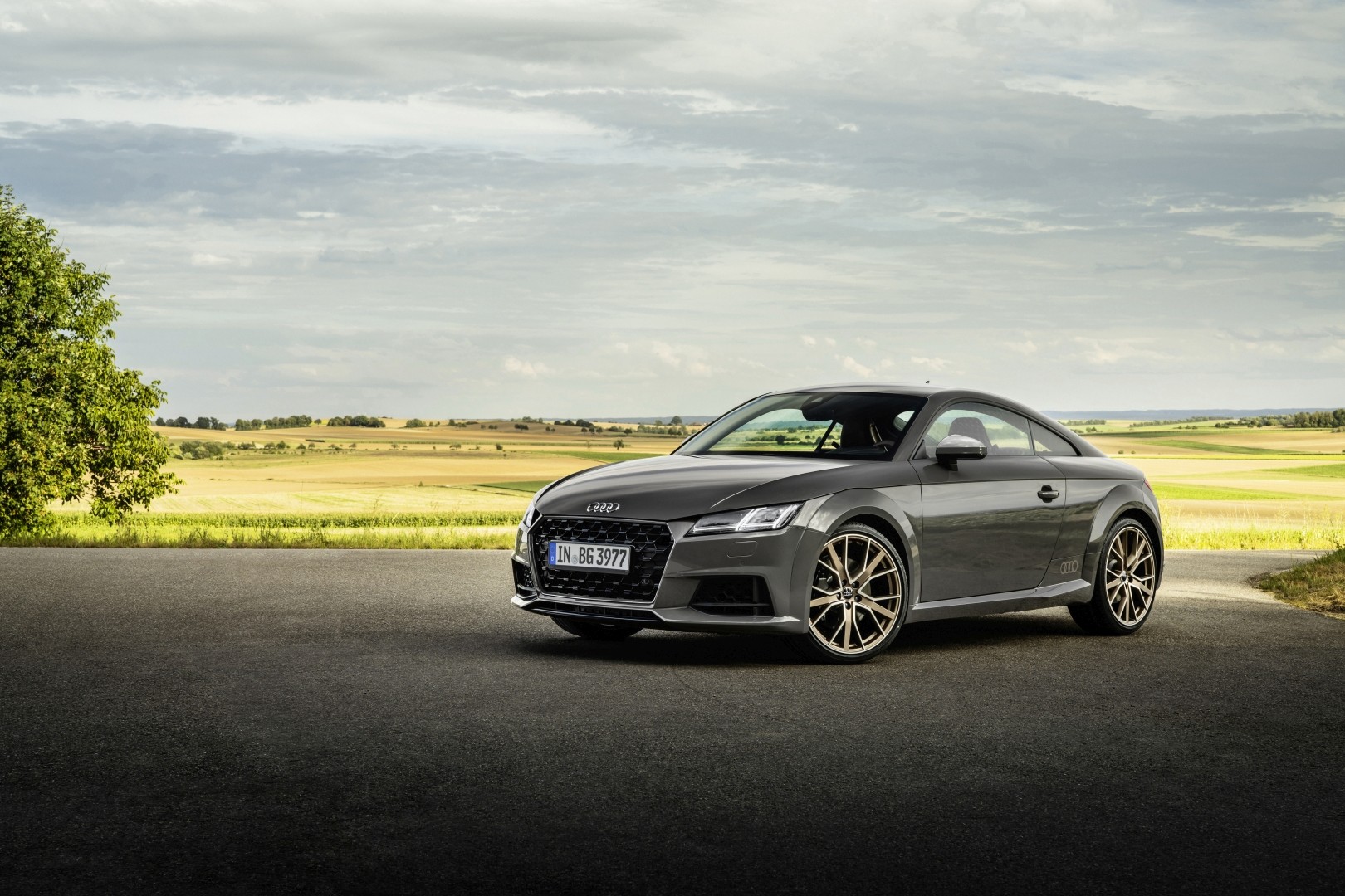 Audi Tt Coupe photo 12