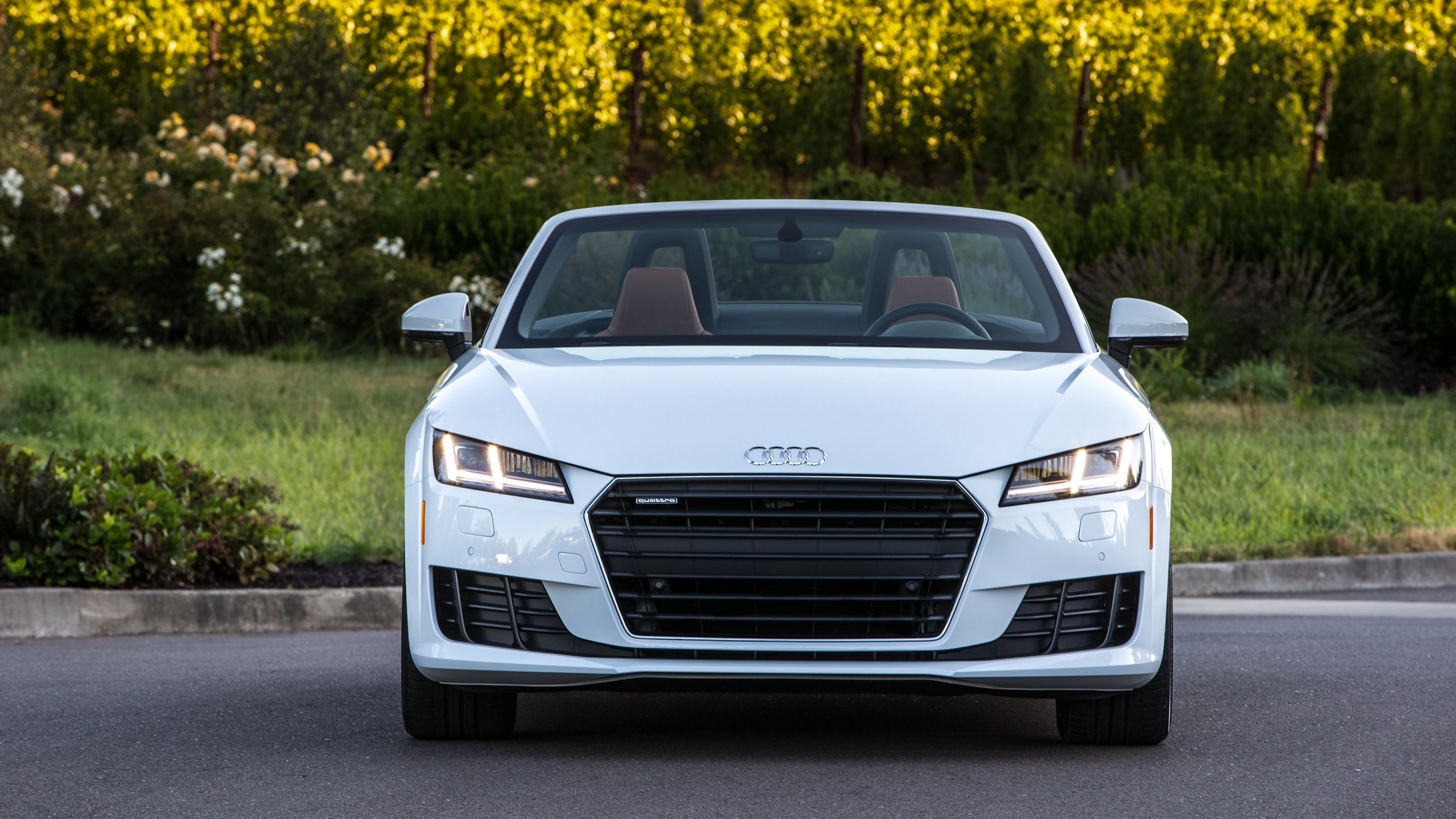Audi Tt Roadster photo 50