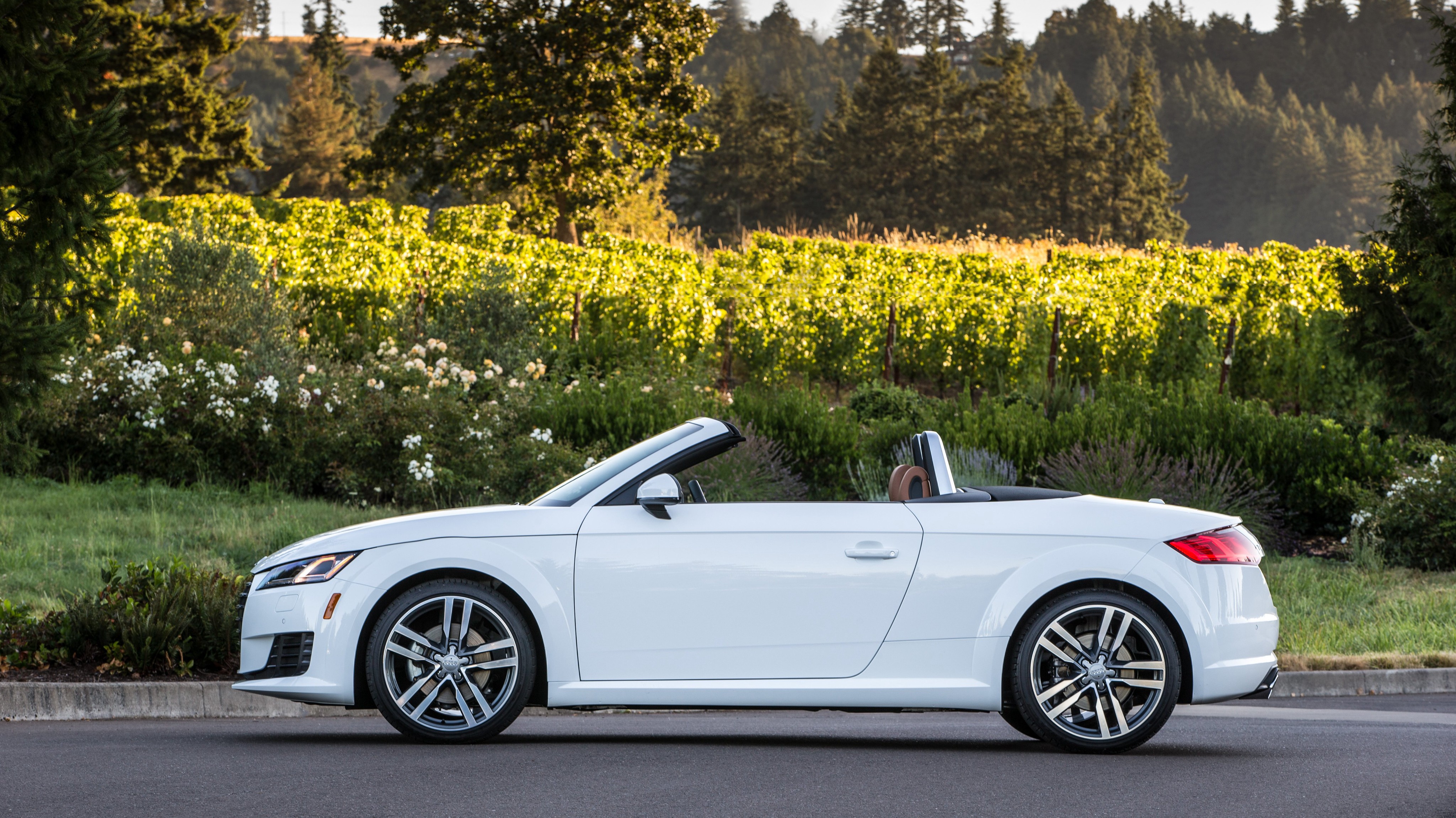 Audi Tt Roadster photo 58